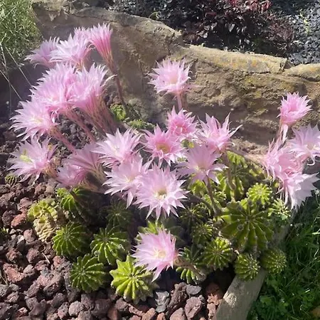 Jardines De Guara