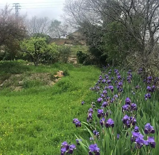 Casa de Férias Jardines De Guara